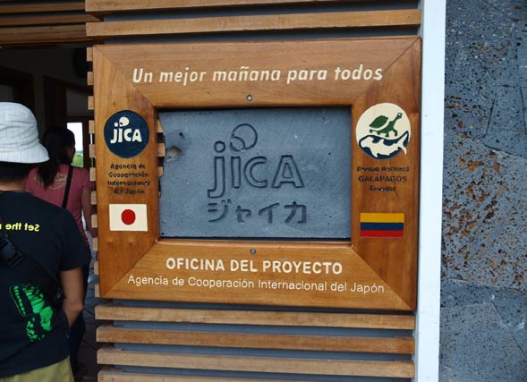 JICAKpSX